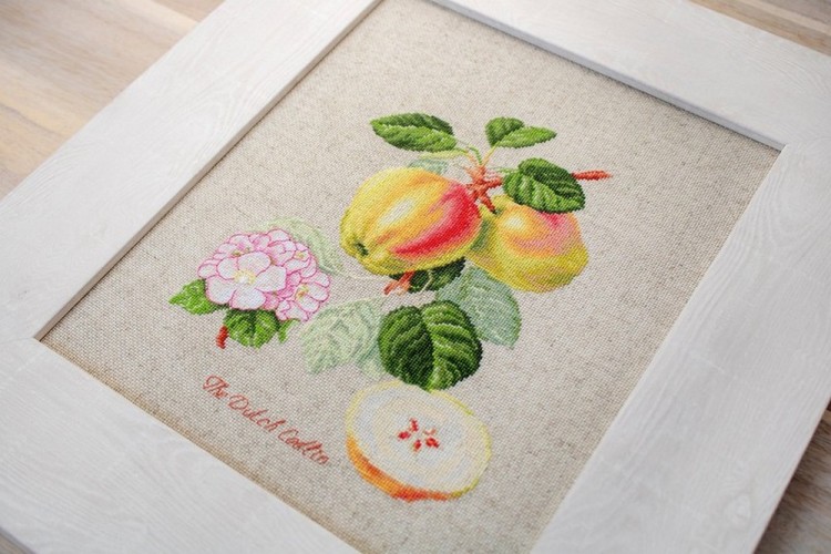 Набор для вышивания Luca-S BL22440 Яблоки