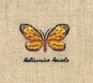 Le Bonheur des Dames 3626 Papillon Heliconius (Бабочка Heliconius)