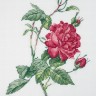 Набор для вышивания Кларт 8-531 Ботаника. Роза