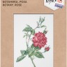 Набор для вышивания Кларт 8-531 Ботаника. Роза