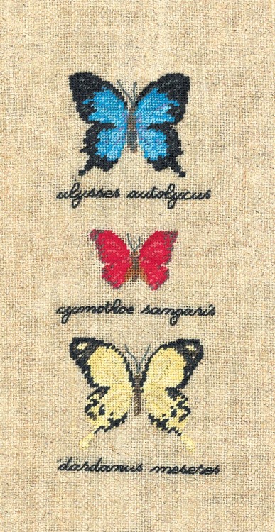 Набор для вышивания Le Bonheur des Dames 3627 Papillons Ulysses Autolycus, Cymothoe Sangaris, Dardanus  (Бабочки  Ulysses Autolycus, Cymothoe Sangaris, Dardanus)