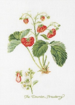 Thea Gouverneur 2085 Strawberry (Клубника)