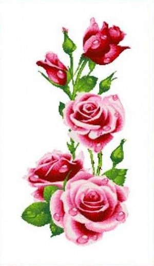 Каролинка КК 602 Розы
