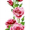 Каролинка КК 602 Розы