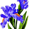 Collection D'Art 3286 Ткань с рисунком для вышивания