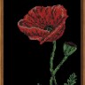 Набор для вышивания Радуга бисера В-138 Аленький цветочек