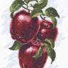 Набор для вышивания Палитра 04.005 Спелые яблоки