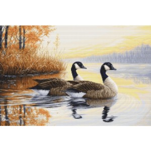 Luca-S G728 Осенние размышления