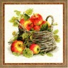 Набор для вышивания Риолис 1450 Спелые яблоки