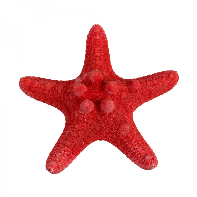 Blumentag MZF-001.03 Декоративная морская звезда