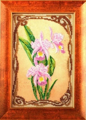 Радуга бисера В-416 Грациозные орхидеи