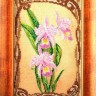 Набор для вышивания Радуга бисера В-416 Грациозные орхидеи