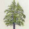 Набор для вышивания Haandarbejdets Fremme 30-6026 Дерево
