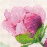 Набор для вышивания Риолис 100/039 Розовые пионы