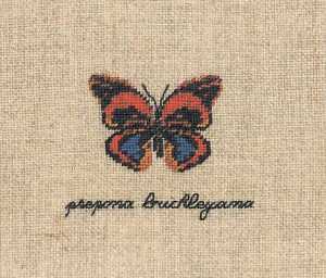 Le Bonheur des Dames 3629 Papillon Prepona Buckleyana (Бабочка Prepona Buckleyana)