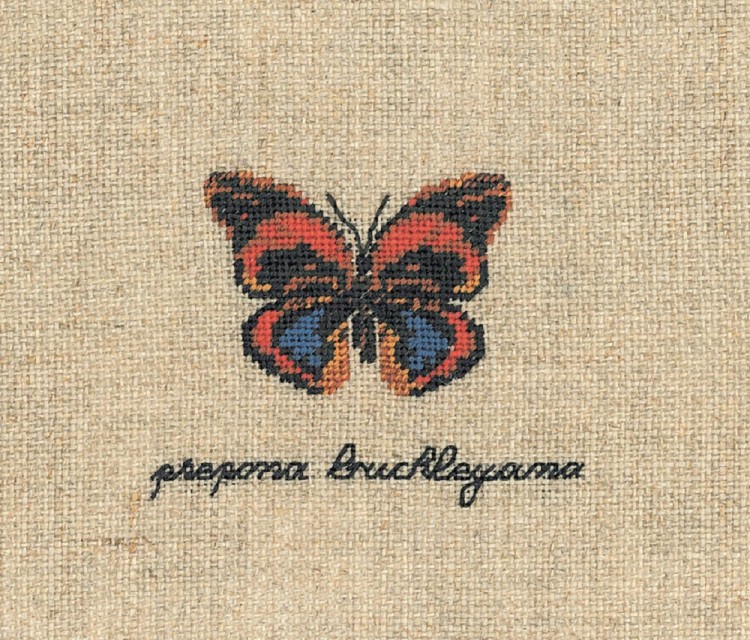 Набор для вышивания Le Bonheur des Dames 3629 Papillon Prepona Buckleyana (Бабочка Prepona Buckleyana)