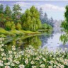 Конек 1371 Ромашки у лесной реки