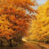 Белоснежка 174-AB Осенний день