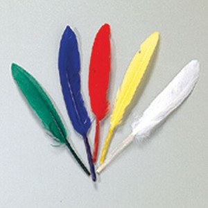 Efco 1004500 Индейские перья, разноцветные