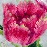 Набор для вышивания Риолис 100/052 Весенние тюльпаны