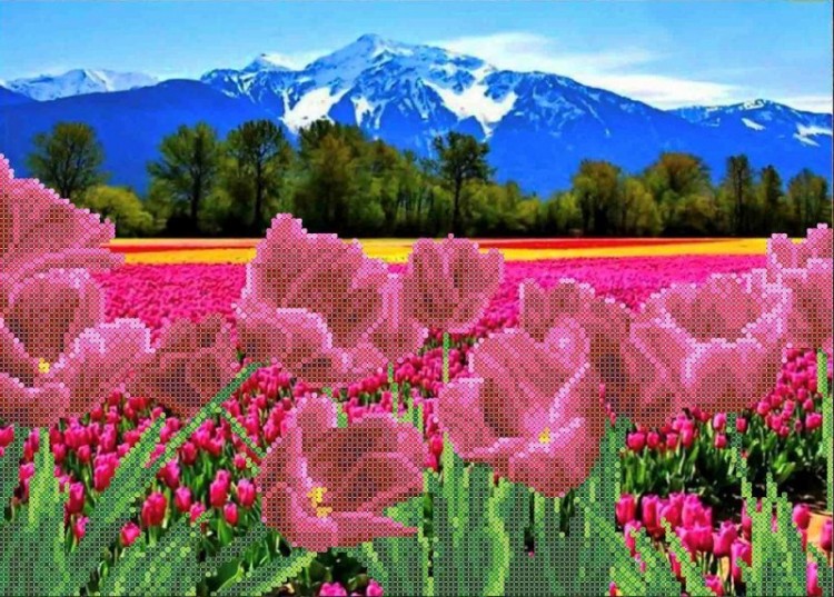 Каролинка ТКБП 3054 Тюльпаны у гор