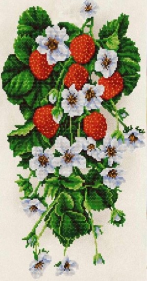 Конек 9954 Клубника