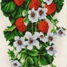 Конек 9954 Клубника