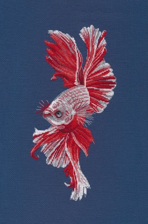 Овен 1597 Рыбка Петушок