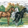 Набор для вышивания Eva Rosenstand 72-474 Три лошади