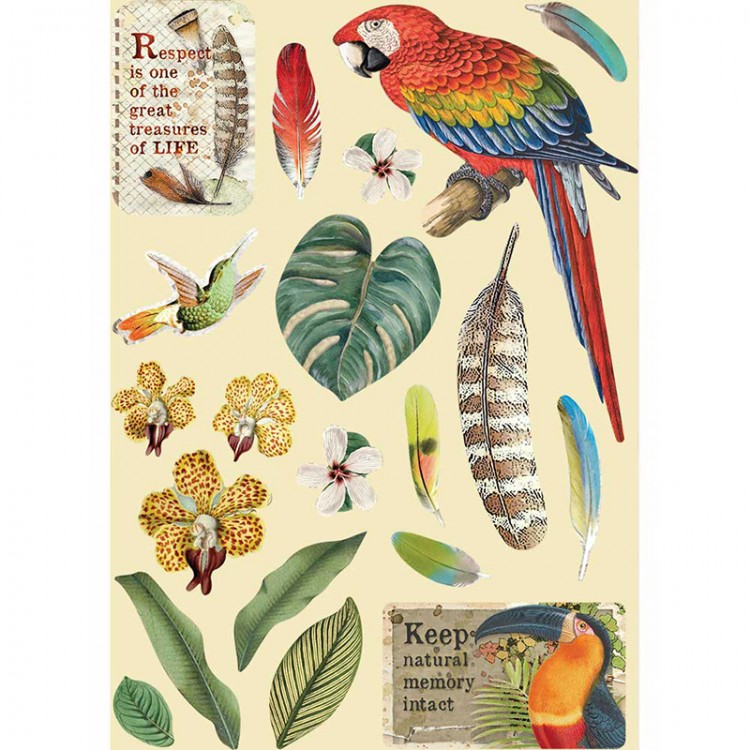 Stamperia KLSP095 Набор высеченных декоративных элементов "Амазония - попугай"