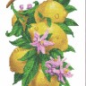 Каролинка КК 063 Лимон