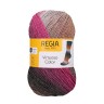 Пряжа для вязания Regia 9801638 Virtuoso Color (Виртуозо Колор)