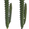 Rayher 55859000 Декоративное растение "Столбчатый кактус"