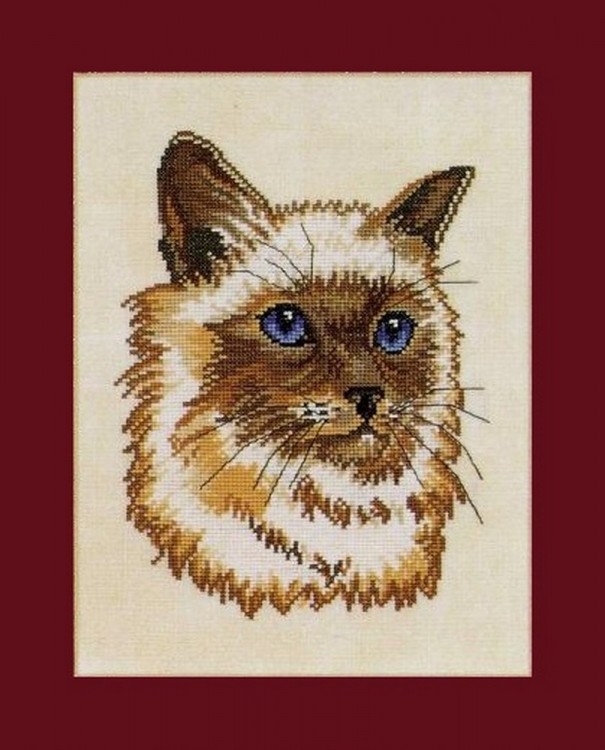 Набор для вышивания Eva Rosenstand 12-917 Персидский кот