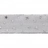 SAFISA 35128-38мм-102 Лента металлик SPIRAL, ширина 38 мм, цвет 102 - серебряный