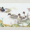 Набор для вышивания Thea Gouverneur 2065 Ducks (Утки)