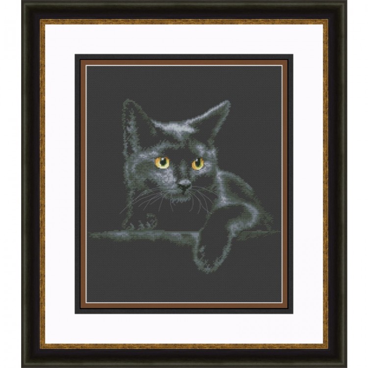 Набор для вышивания Olanta VN-166 Черный кот