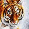 Белоснежка 780-AS Тигр на снегу