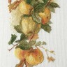 Набор для вышивания Марья Искусница 06.002.43 Аромат яблок