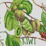 Конек 1268 Дары природы 3