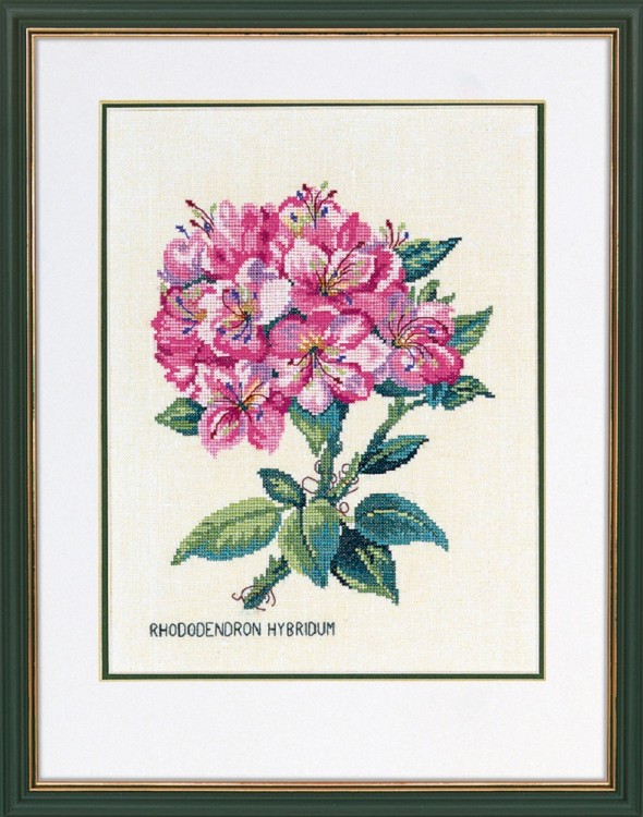 Набор для вышивания Eva Rosenstand 12-895 Rhododendron, pink (Рододендрон, розовый)