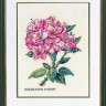 Набор для вышивания Eva Rosenstand 12-895 Rhododendron, pink (Рододендрон, розовый)