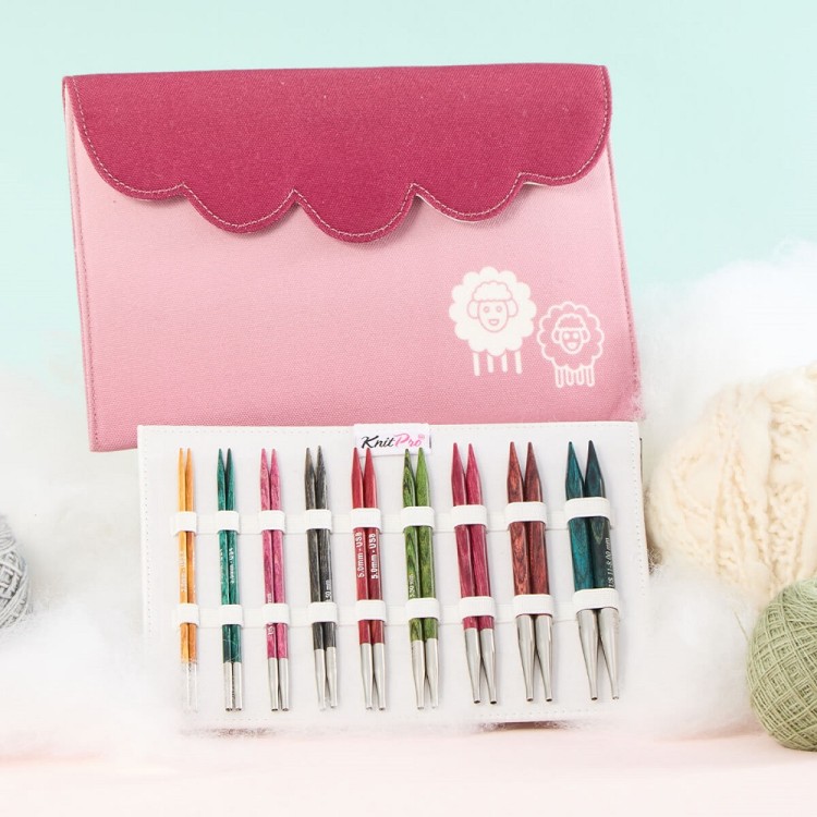 KnitPro 200633 Набор Deluxe съемных спиц "Dreamz"