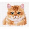 Набор для вышивания Алиса 1-36 Плюшевый кот
