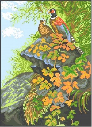 Матренин Посад 0677 Фазаны
