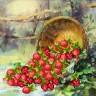 Матренин Посад 4198 Клубника