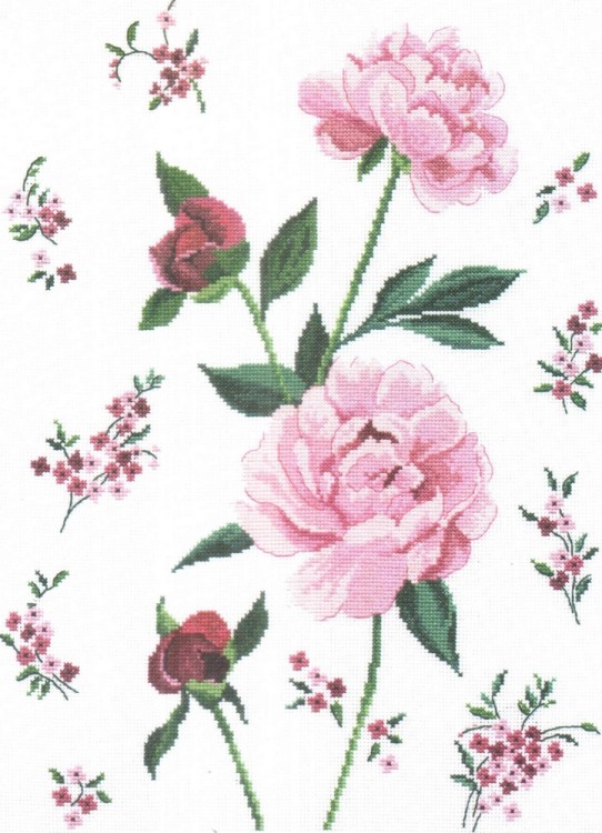 Набор для вышивания DMC BK710 Розовые пионы