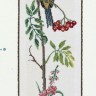 Набор для вышивания Eva Rosenstand 13-265 Птичка на ветке, грибы, осень