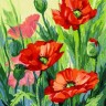 Белоснежка 155-AS Красные маки