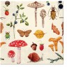 PAW Decor Collection SDL127500 Салфетка трехслойная для декупажа "Лесная ботаника"